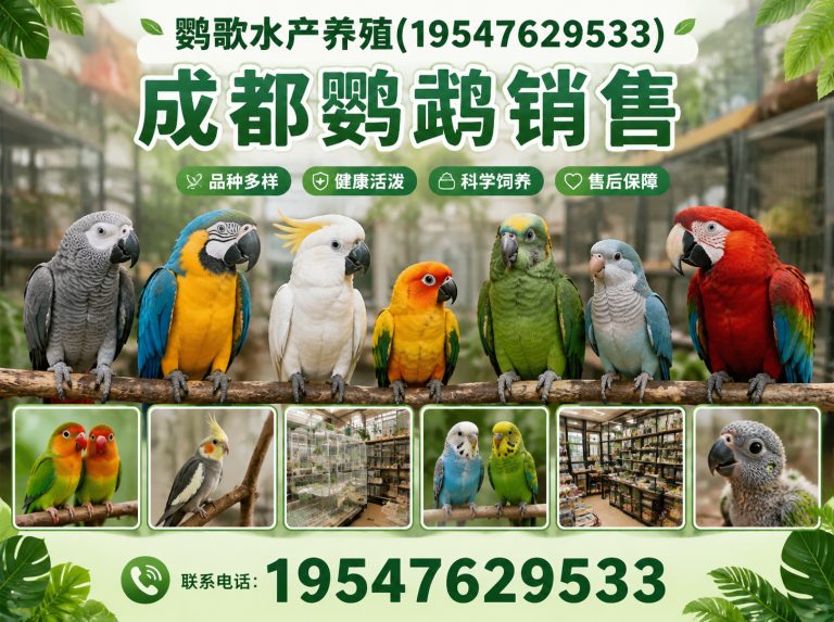 都江堰市中大型鹦鹉繁育展示图